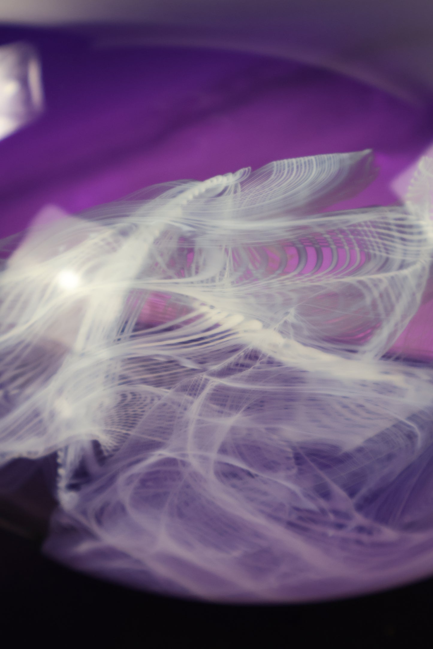 Deep Amethyst Bottle Lasso Series