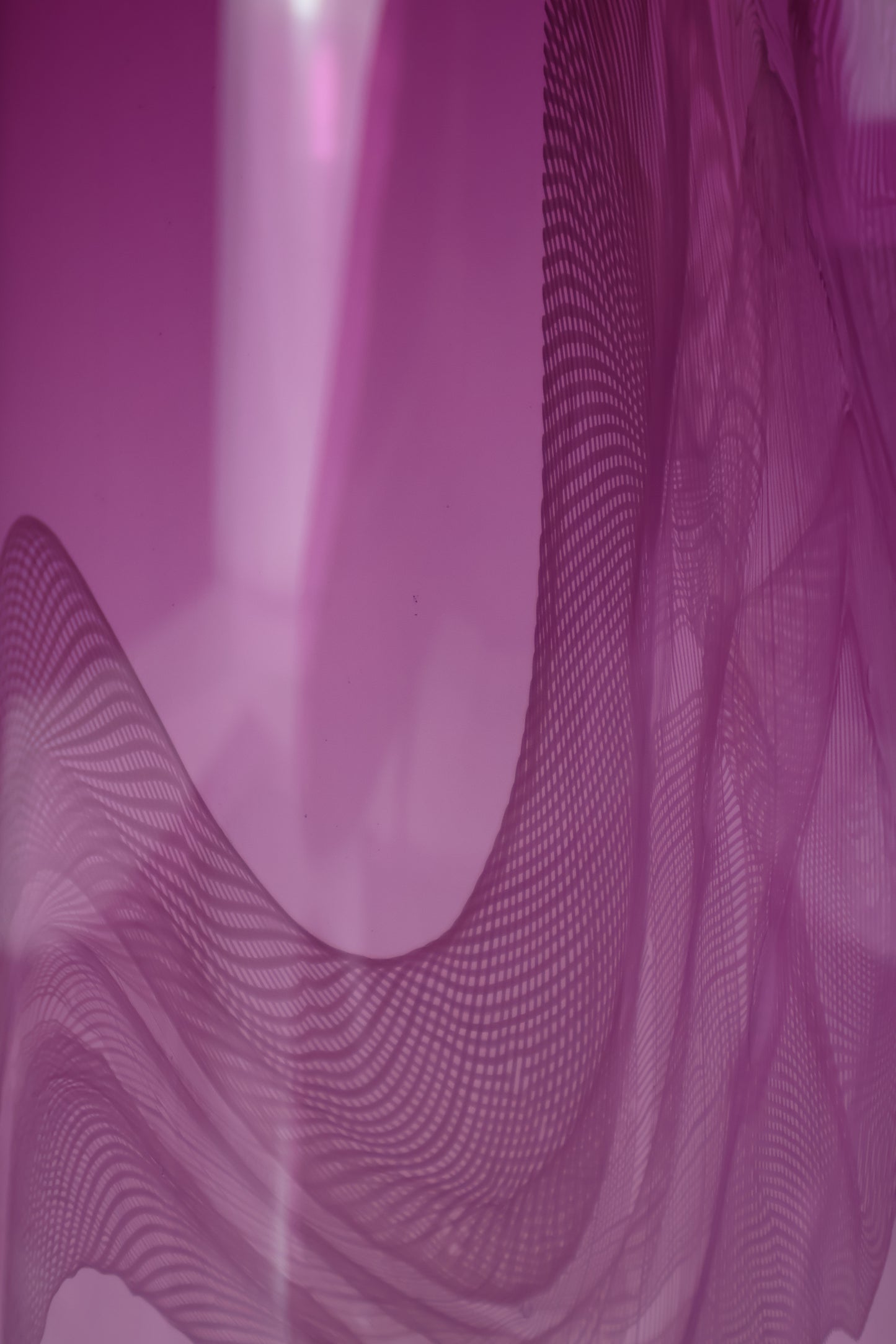 Tall Heliotrope Lasso Bottle